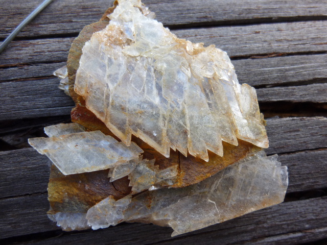 Fichier:Gypse Fontcouverte 3.jpg