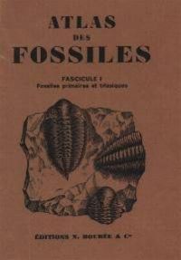 Atlas fossiles 1.jpg