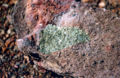 Peridotite - 2.jpg