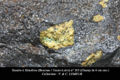 Enclaves d'origine mantellique dans basalte 02.jpg