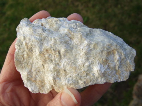 Tremolite-Ariege.jpg