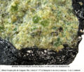 Bombe volcanique basaltique a Peridotite - 2.jpg