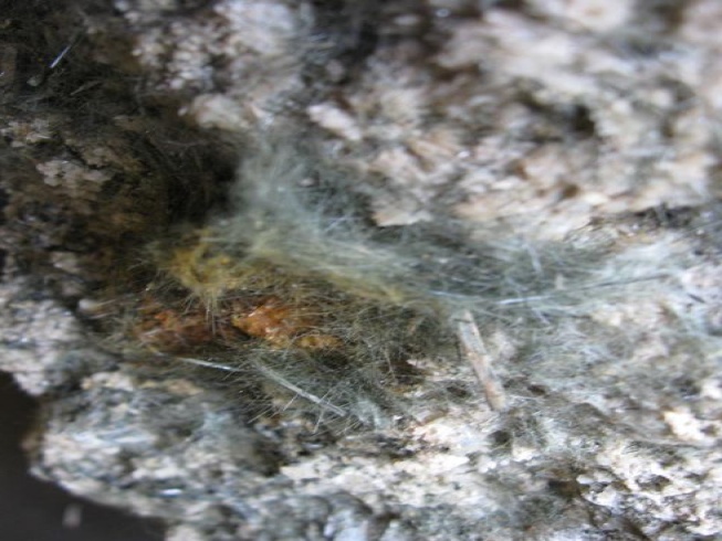 Fichier:Amiante 38.jpg