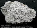 Trachyandesite - 2.jpg