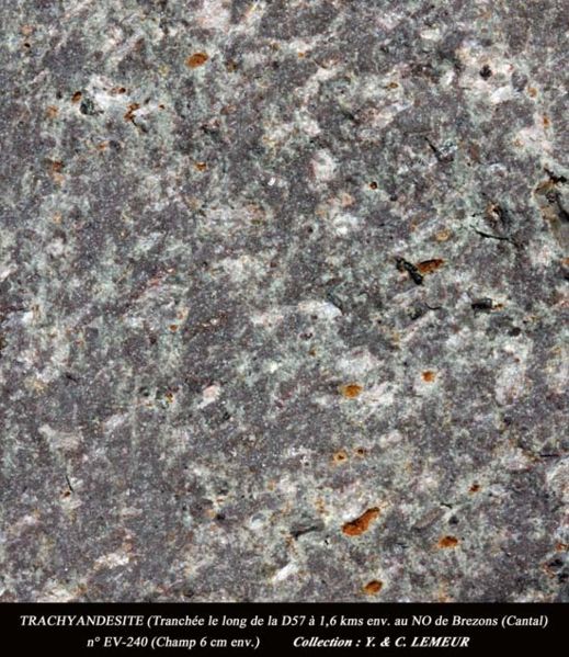 Fichier:Trachyandesite 29.jpg