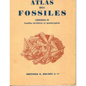 Atlas fossiles 3.jpg