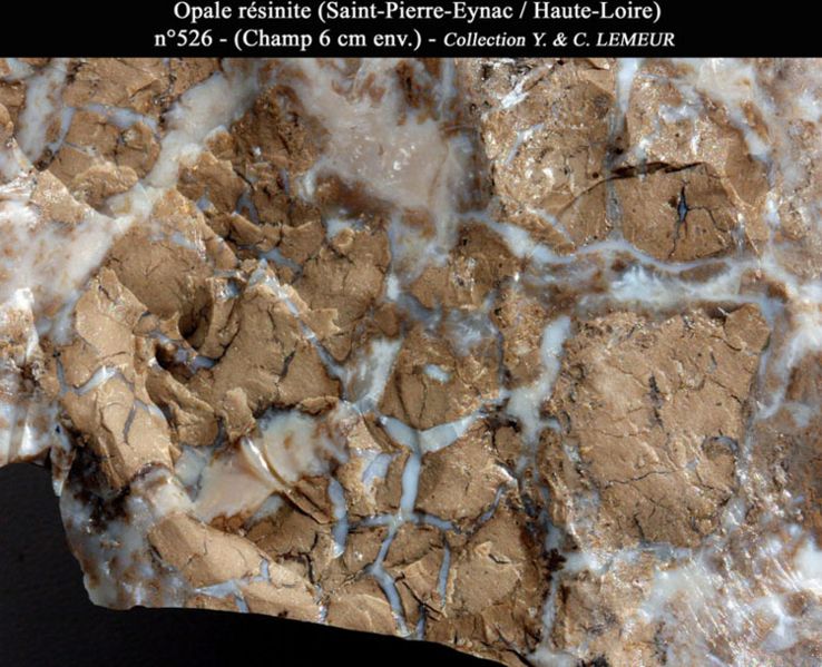 Fichier:Opale resinite 01.jpg